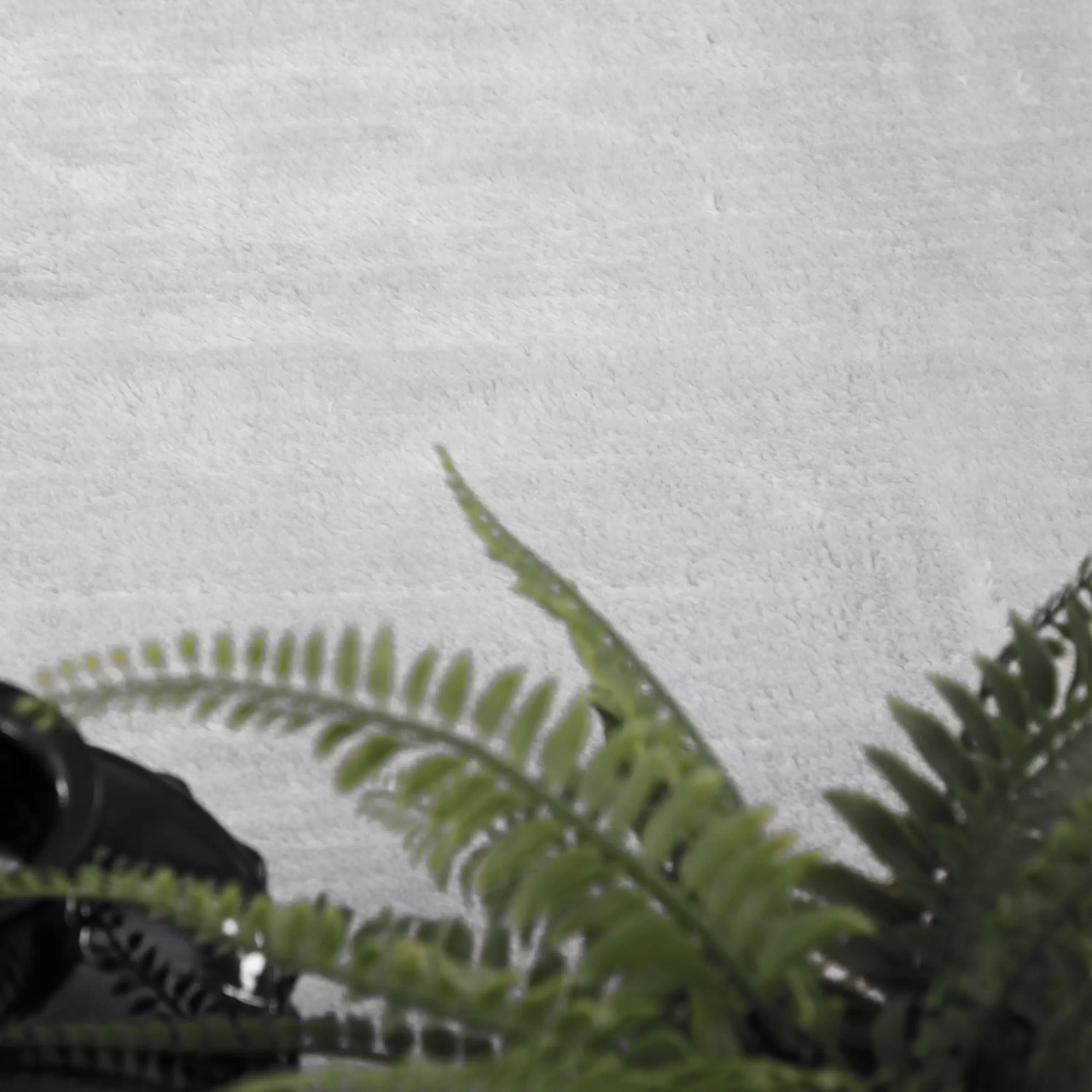 Teppich Calissa Silber 300x400 Cm – Bild 3